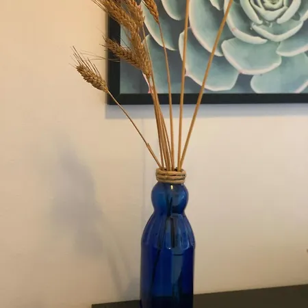 Appartement Casa Almare